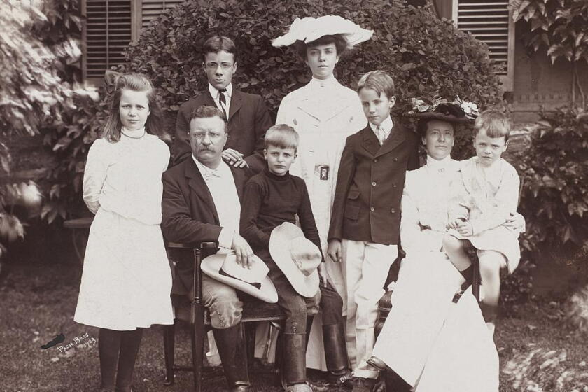 A Thanksgiving turkey terrorized by the president's kids? Theodore Roosevelt was furious about that story - Post Bulletin | Rochester Minnesota news, weather, sports