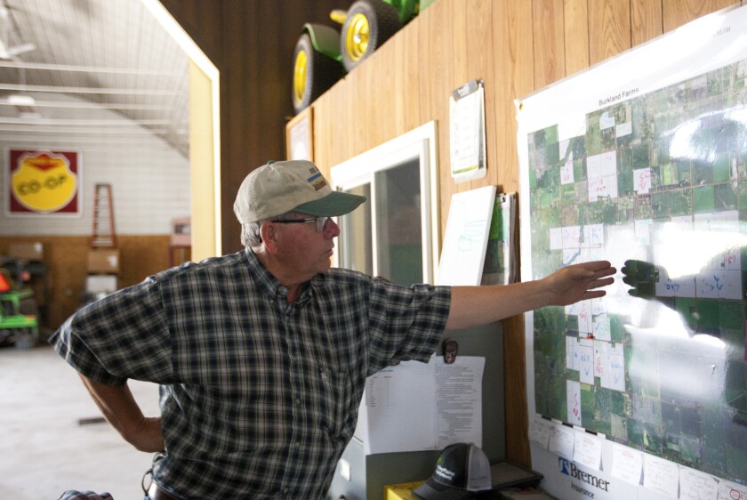 David Burkland of Burkland Farms stands among rows of corn planted on what was recently CRP land in rural Grand Forks, N.D., on Saturday, June 23, 2018. Nick Nelson / Forum News Service
