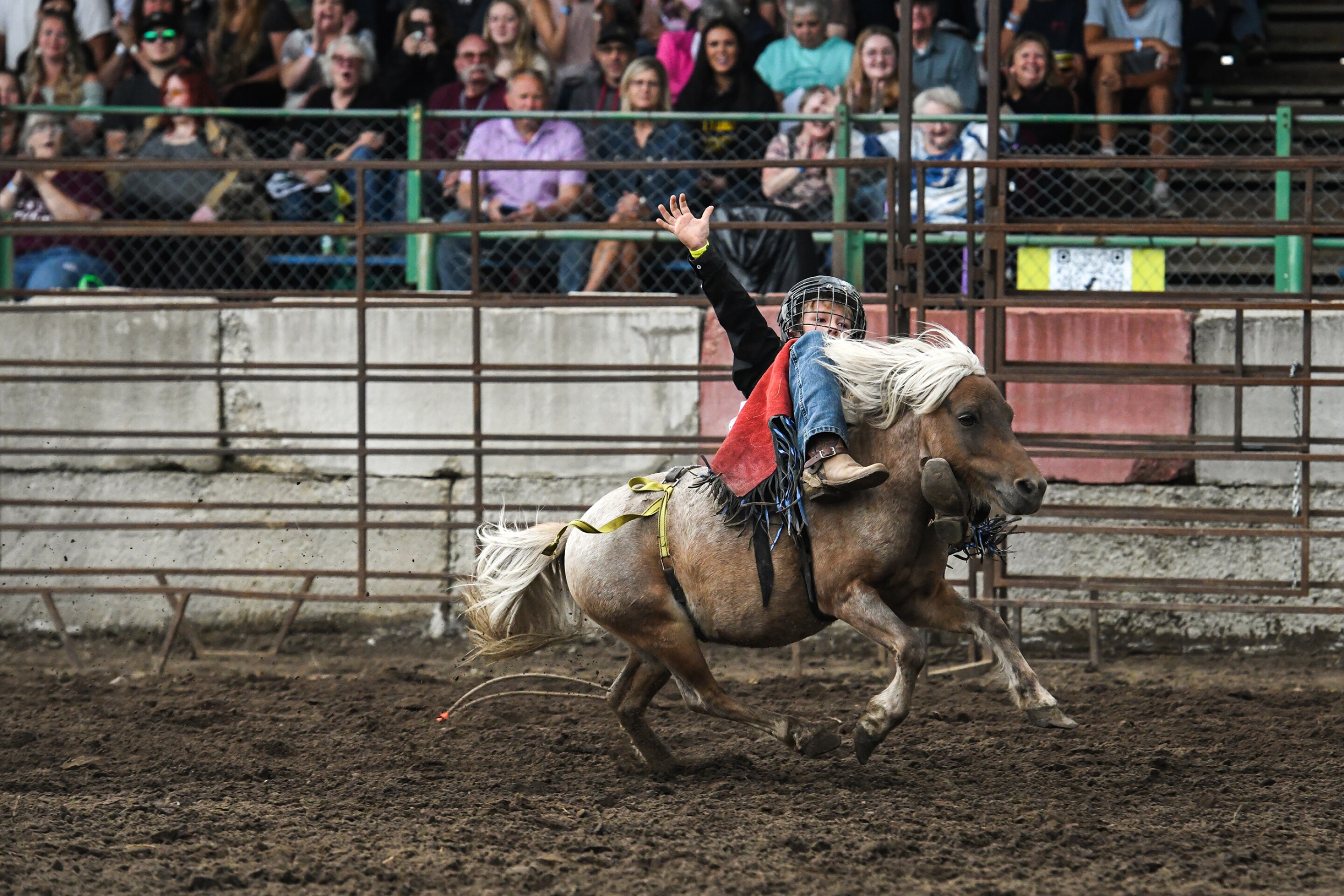 Wojo's Rodeo draws hundreds to Beltrami County Fair - The Bemidji ...