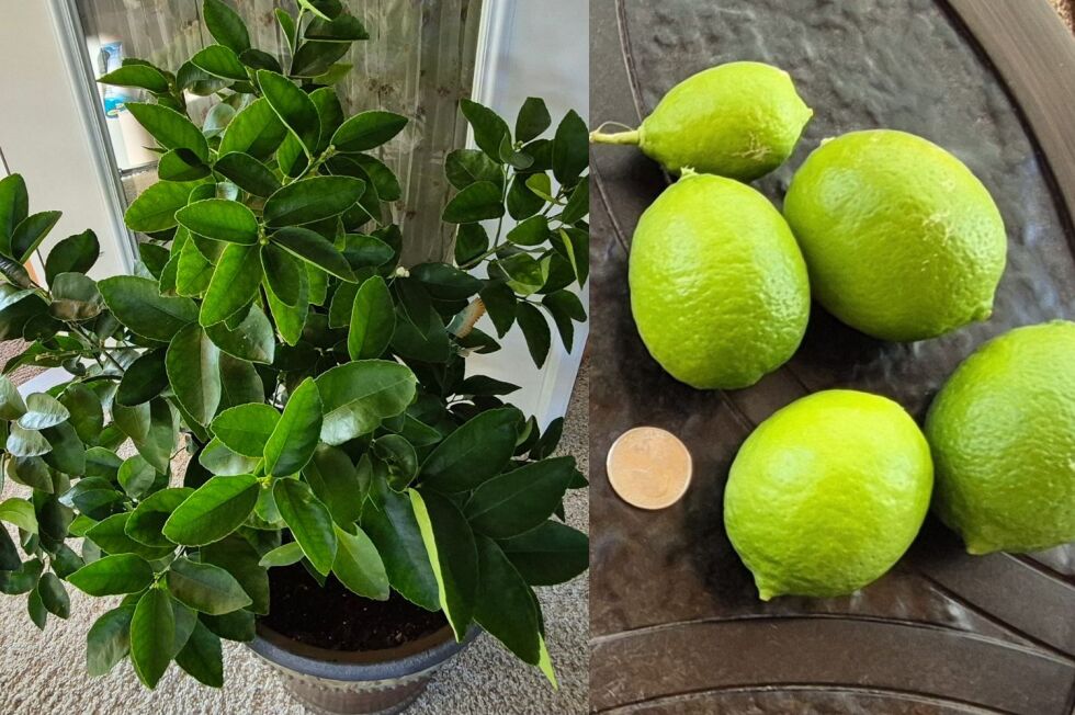 InForum | The Forum of Fargo-Moorhead