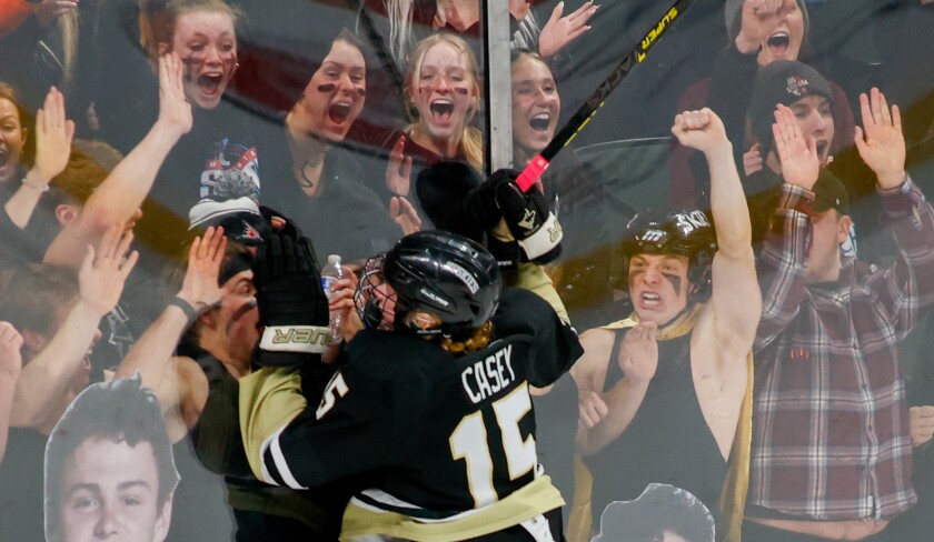 Minnesota Boys High School Hockey Streaming Schedule - The Rink Live Minnesota Boys High School Hockey Streaming Schedule - The Rink Live