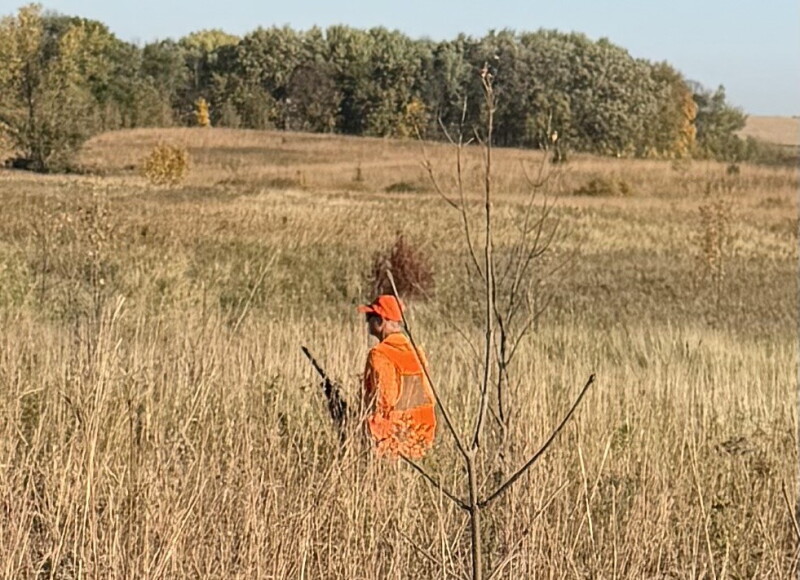 Minnesota Governor’s Pheasant Opener Highlights Conservation and Public Land Access