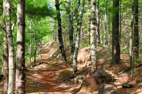 Bobsled-trail-mtb.jpg