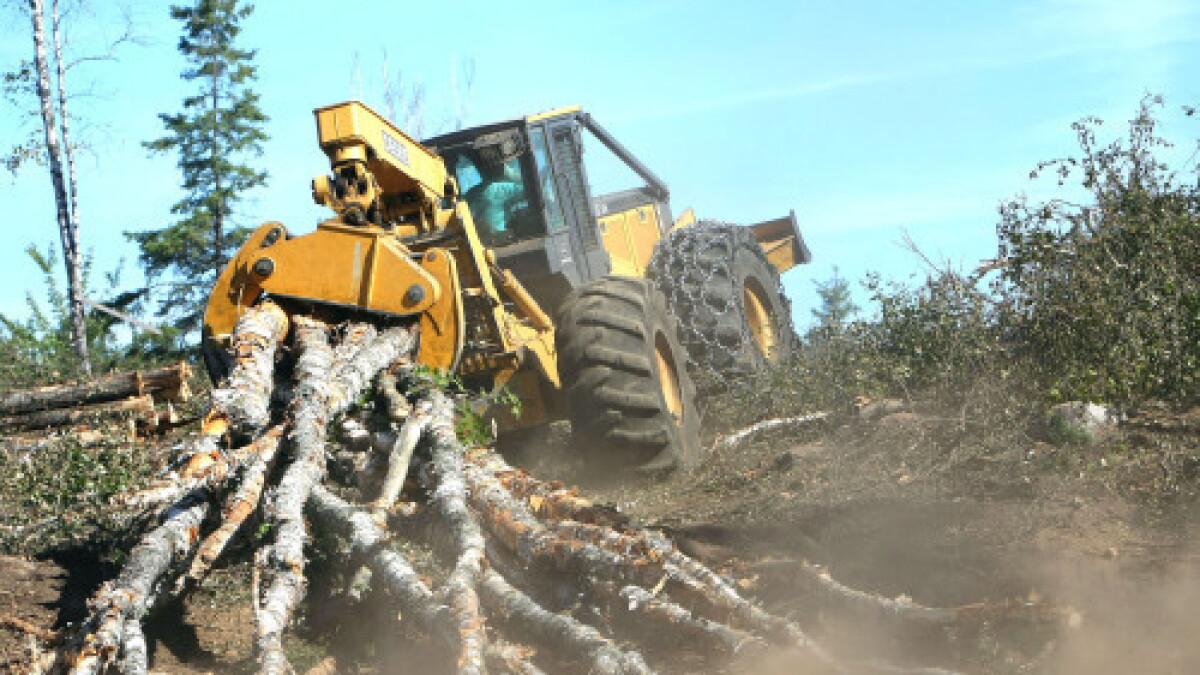 Minnesota DNR shakes up forestry department with transfers minnesota-dnr-shakes-up-forestry-department-with-transfers