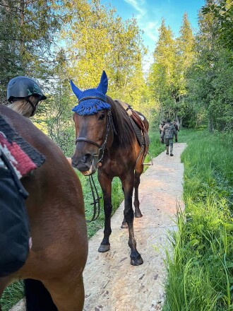 061522.N.HORSERESCUE 2.jpg