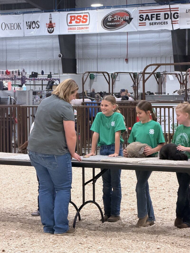 Veeder: What you get when you take a lizard to the fair