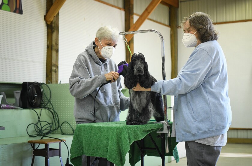 091121.N.BP.DOGSHOW4.jpg