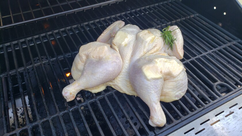 grill chicken 2.jpg