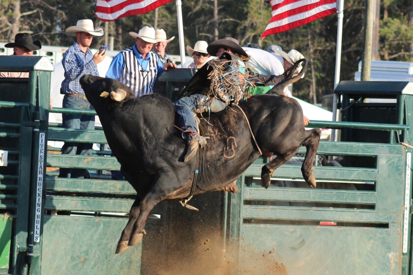 Pro bull rider from Frazee to compete at Park Rapids rodeo next weekend ...