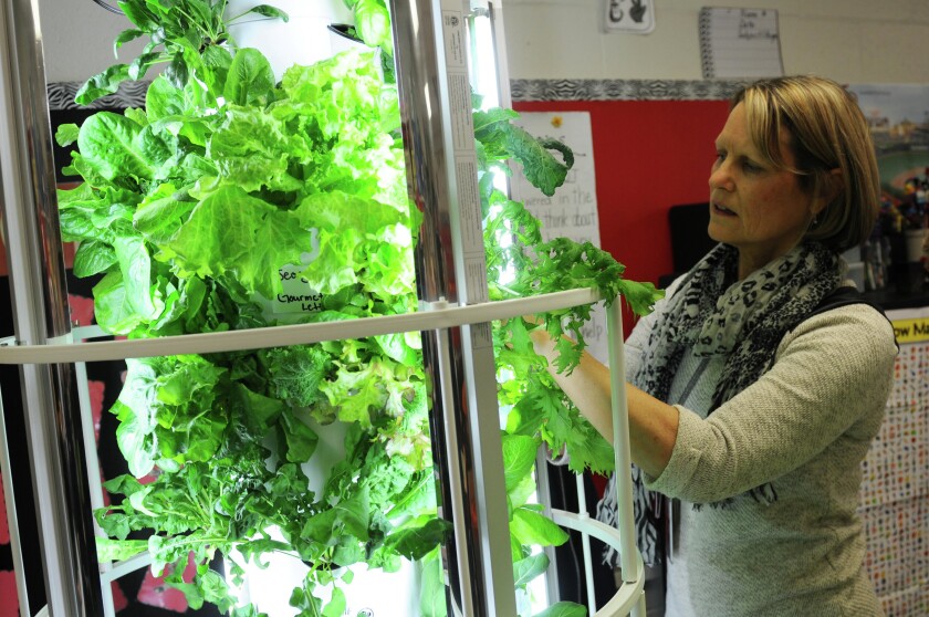 1682465+042715.N.STP_.TowerGardens.2.jpg