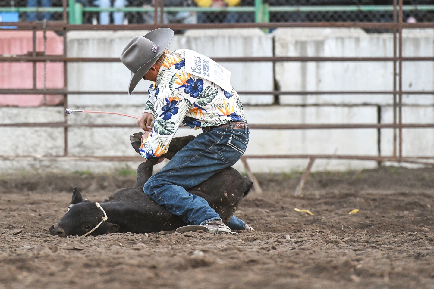 Wojo’s Rodeo brings broncs and barrels to Beltrami County Fair - The ...