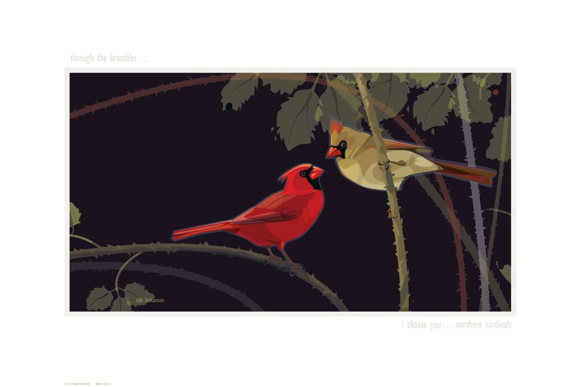 sdh_hokanson_Through-the-brambles-choose-you --- cardinals.jpg