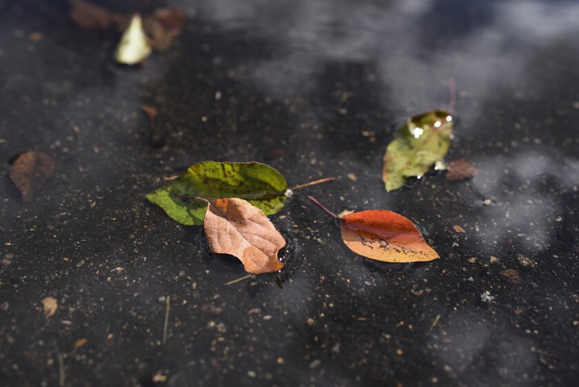 091121.O.BP.FALLCOLORS - 3.jpg