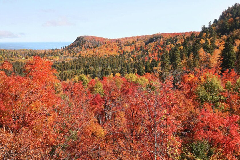 Will fall color this year be early, late or normal? - Duluth News ...
