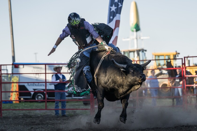 Olmsted County Fair