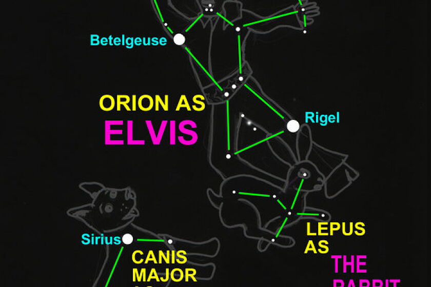 Elvis Rabbit Starwatch: Elvis, the hound dog and the rabbit - Post Bulletin ...