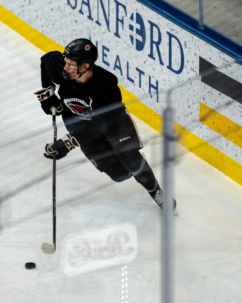 Joe Gramer, a ‘meat-and-potatoes' defenseman, eager to join Beavers ...