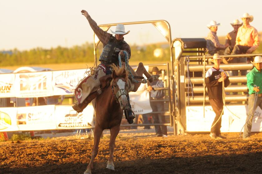 Bull riding winner Whitt shines on final day of Roughrider Days rodeo ...