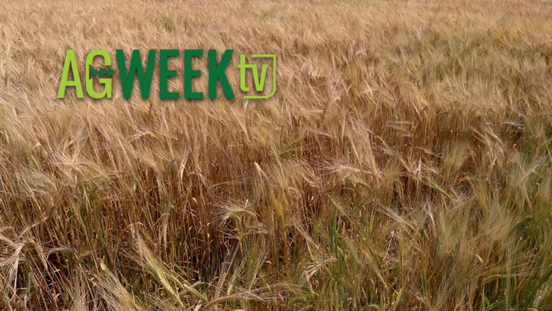 AgweekTV Full Show 2021 Agweek Cereal Crop Tour kicks off, Grower Days