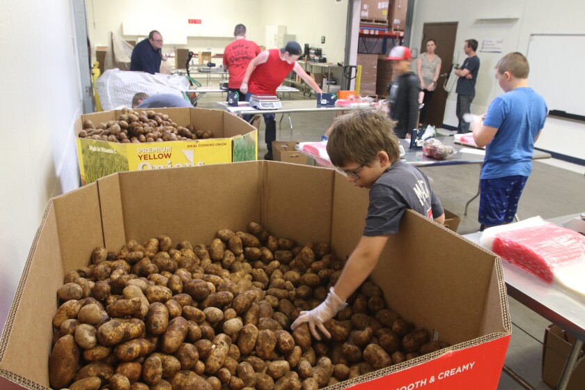 A boy reaches into a pallet box of potatoes as others package food in the background.