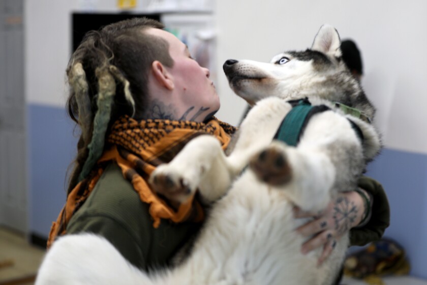 An adult cradles a dog and prepares to give it a kiss.