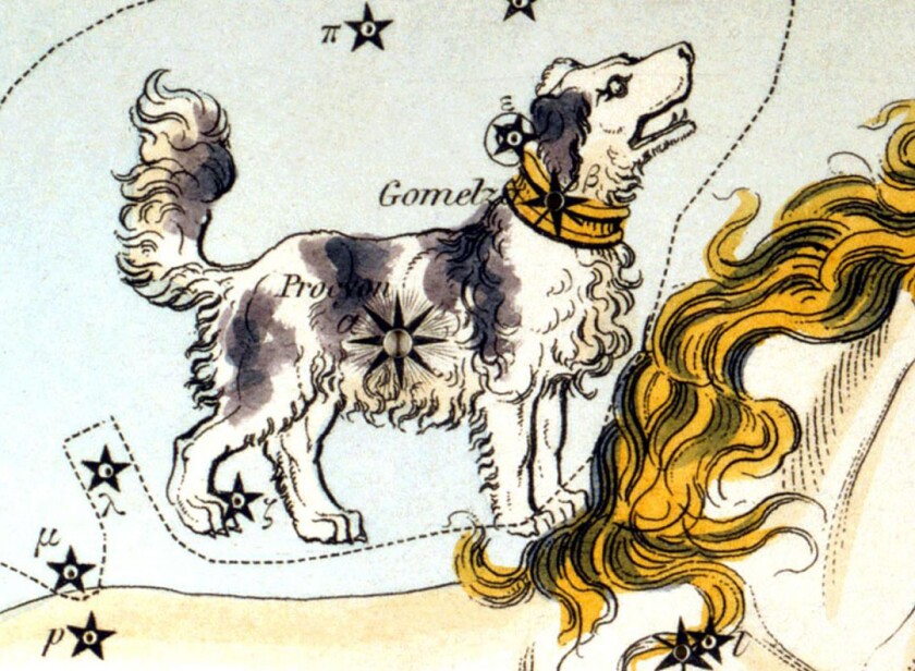 Canis Minor figure