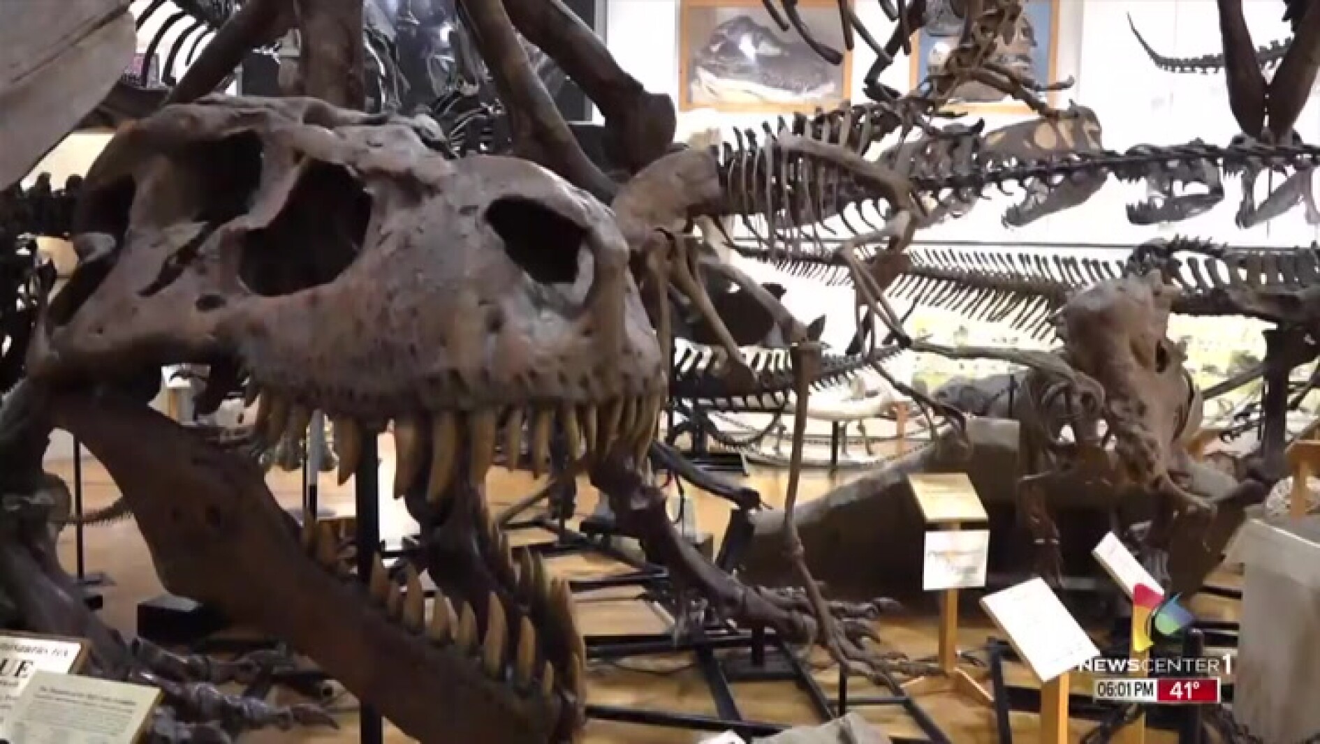 Black Hills Institute starts major expansion project