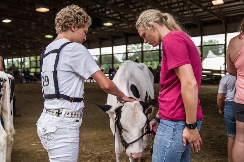 Wabasha County Fair