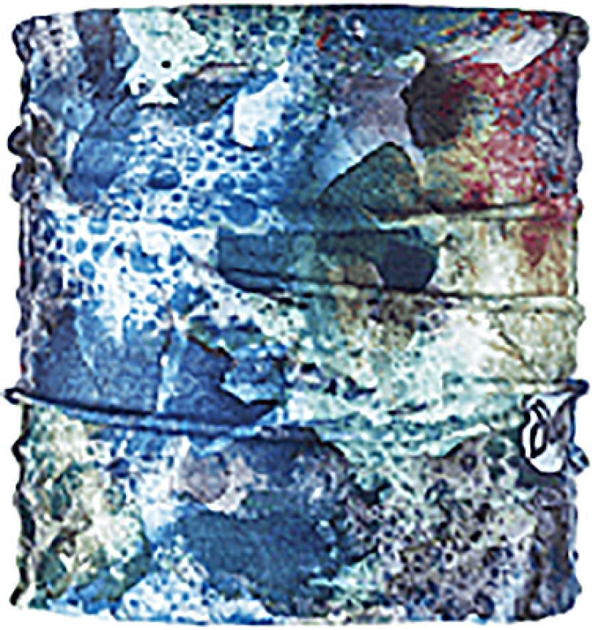 Duluth-News-Tribune-December-2018-picture-4672483.png