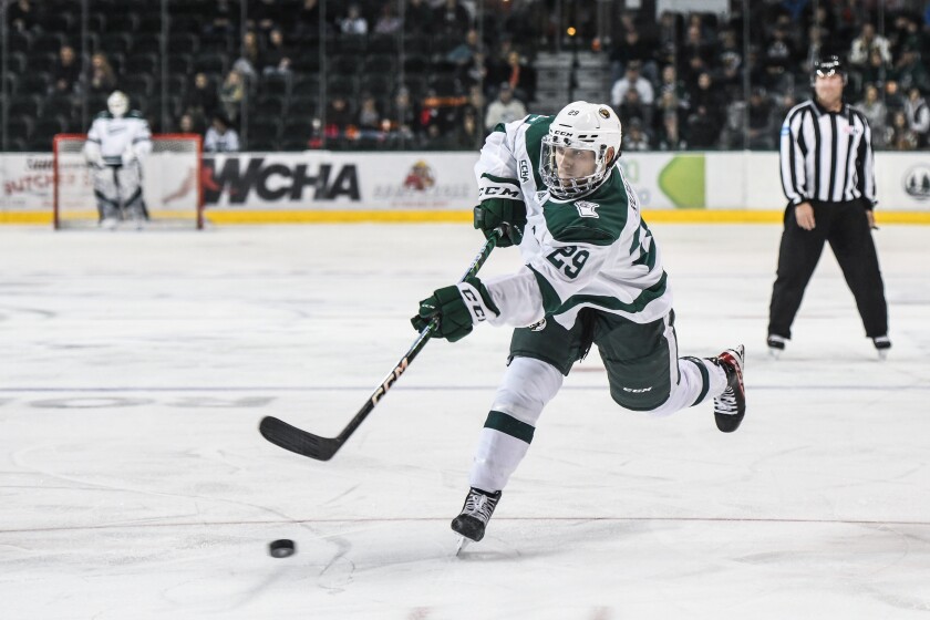 MEN'S HOCKEY: Lleyton Roed wins 5th CCHA Rookie of the Week award - The ...