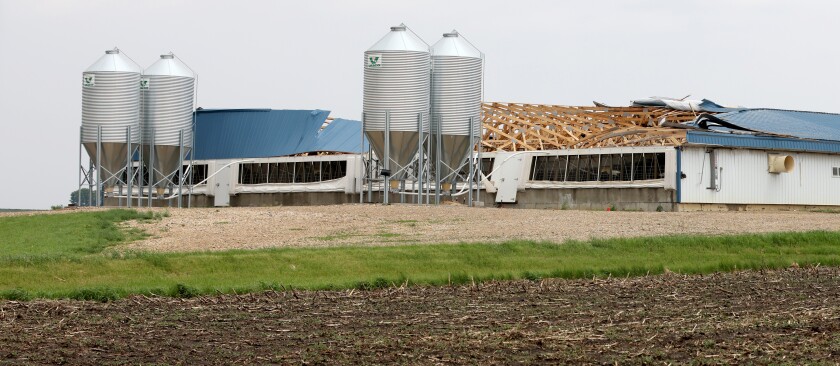 Confinement building damaged by High winds North of Ellsworth Minnesota and just east of Highway 91 Monday.