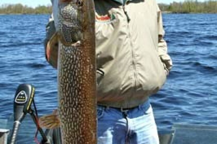 Look what I caught: Dan Rude - The Bemidji Pioneer is your #1 source ...