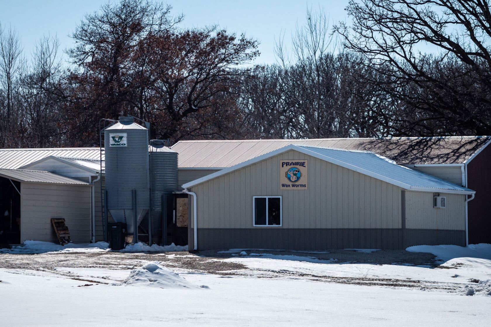 6 years later, Lois Riess, the 'Killer Grandma,' still baffles everyone ...