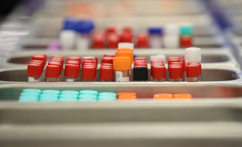 111720.N.RPB.mayolab-9815.jpg