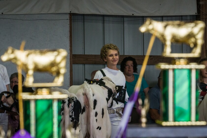 Wabasha County Fair