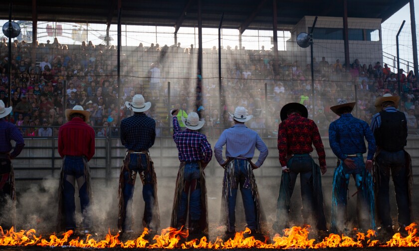 Dodge County Free Fair 2022