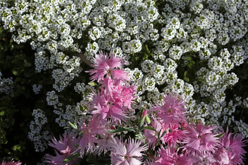 100320.F.FF.GrowingTogether.04.jpg