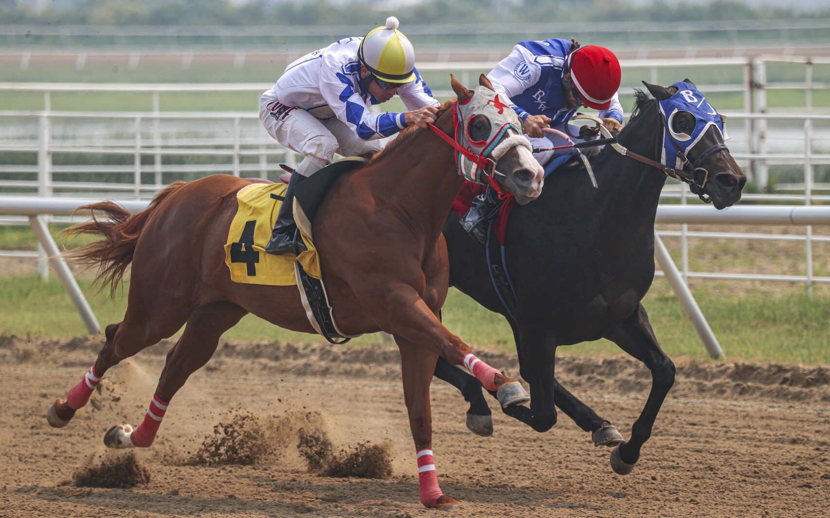 And they’re off for the 22nd season at the North Dakota Horse Park And they’re off for the 22nd season at the North Dakota Horse Park