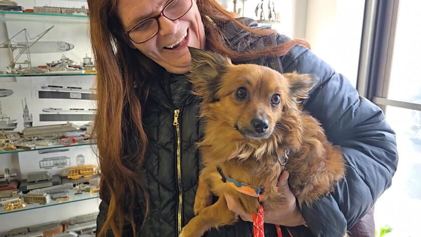 Fargo Rabbit Dog 'It's miraculous:' Peanut the dog found after 20 days on the run in 40 ...