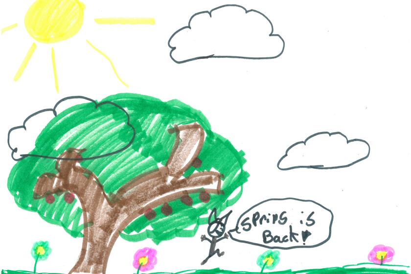 Weather Drawing: Welcome back, spring! - Brainerd Dispatch | News ...