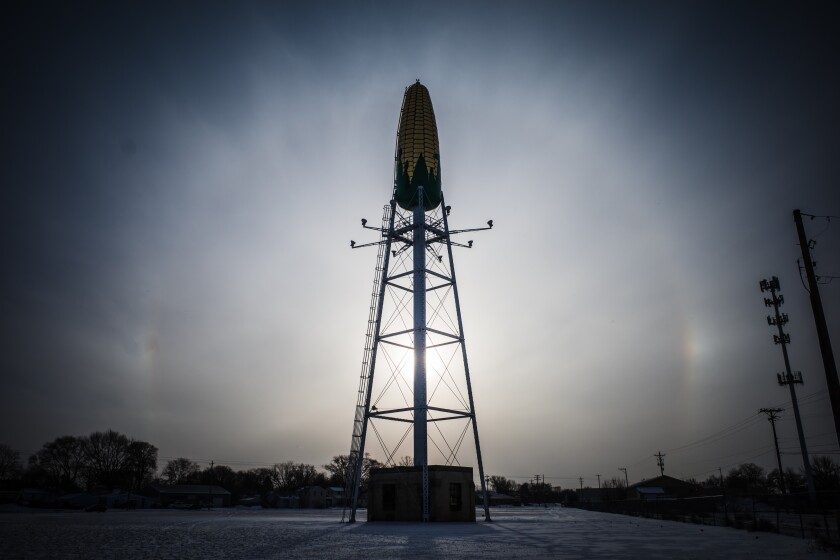 Sun Dog
