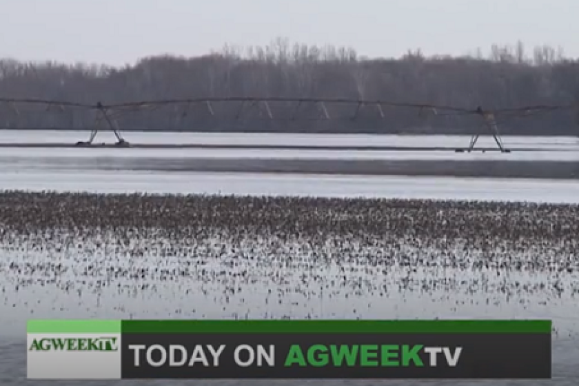 agweektv427.png
