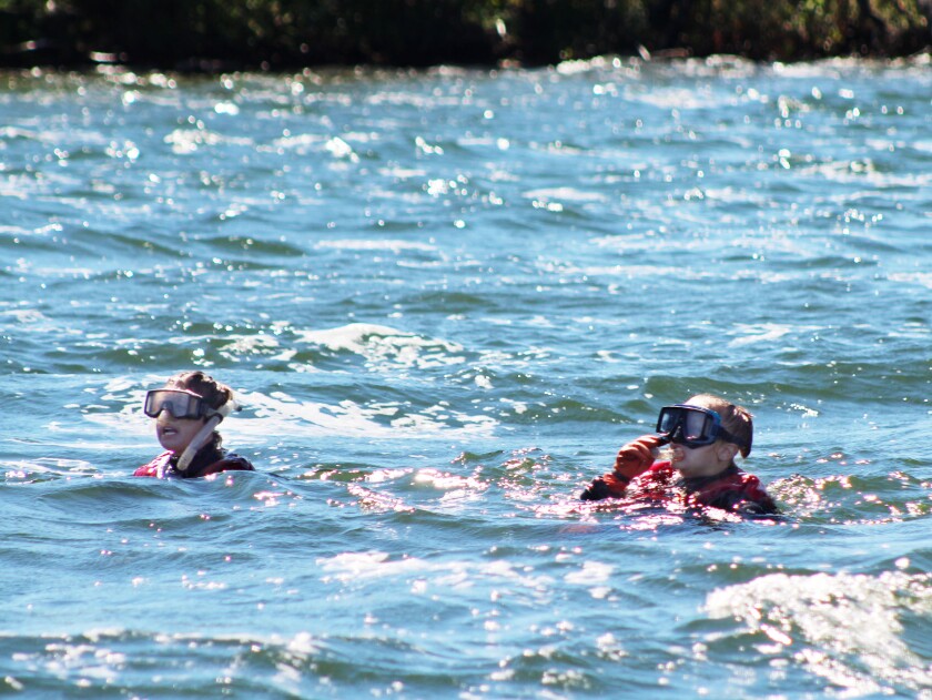 Dive 0100.jpg