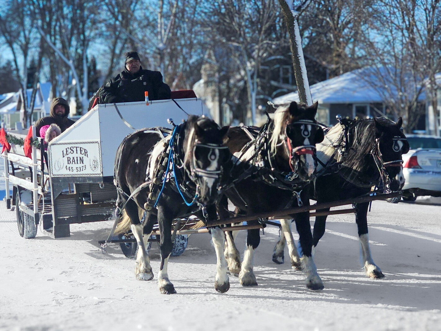 Wadena Christmas Festival kicks off holiday season - Wadena Pioneer ...
