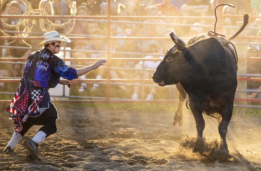 PHOTOS: Bull riding at Kandiyohi County Fair - West Central Tribune ...