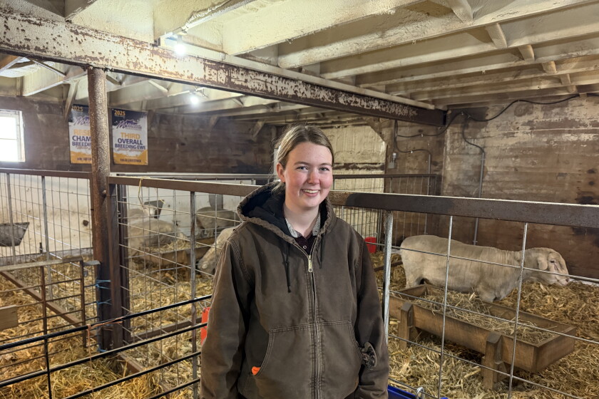 Starter Flock Program helps students get involved in the Targhee sheep ...
