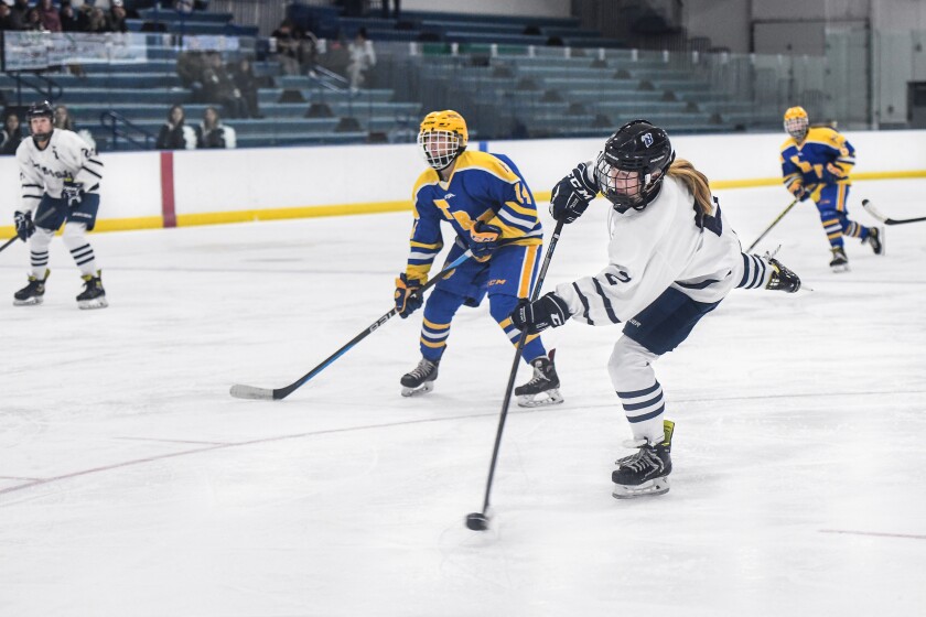 GIRLS HOCKEY: Middle schoolers Rupp, Johnson pace Bemidji in 3-0 defeat ...