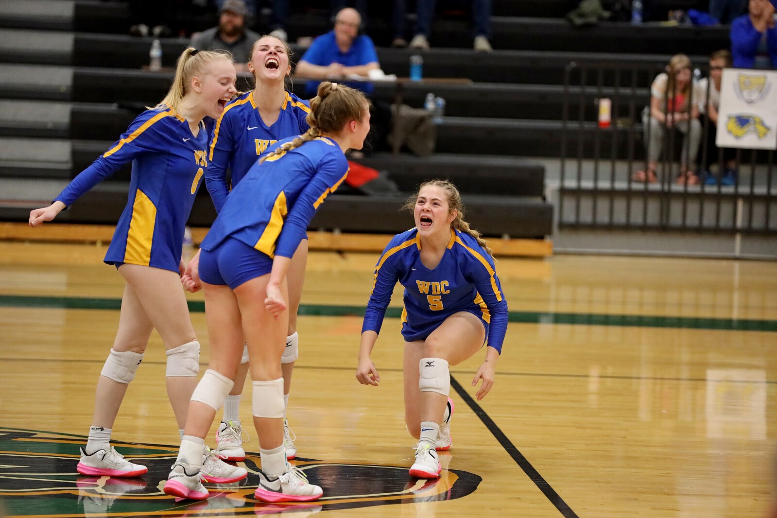 Pequot Lakes vs Wadena-Deer Creek Volleyball on Thursday, Nov. 3, 2022, in Sauk Rapids.