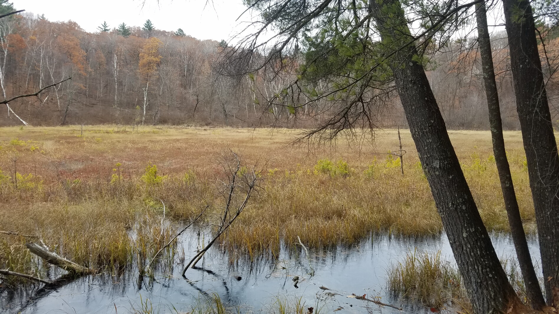 Minnesota's Camp Ripley wins top environmental award - InForum | Fargo ...