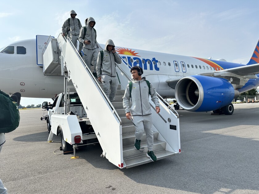 Bison arrive